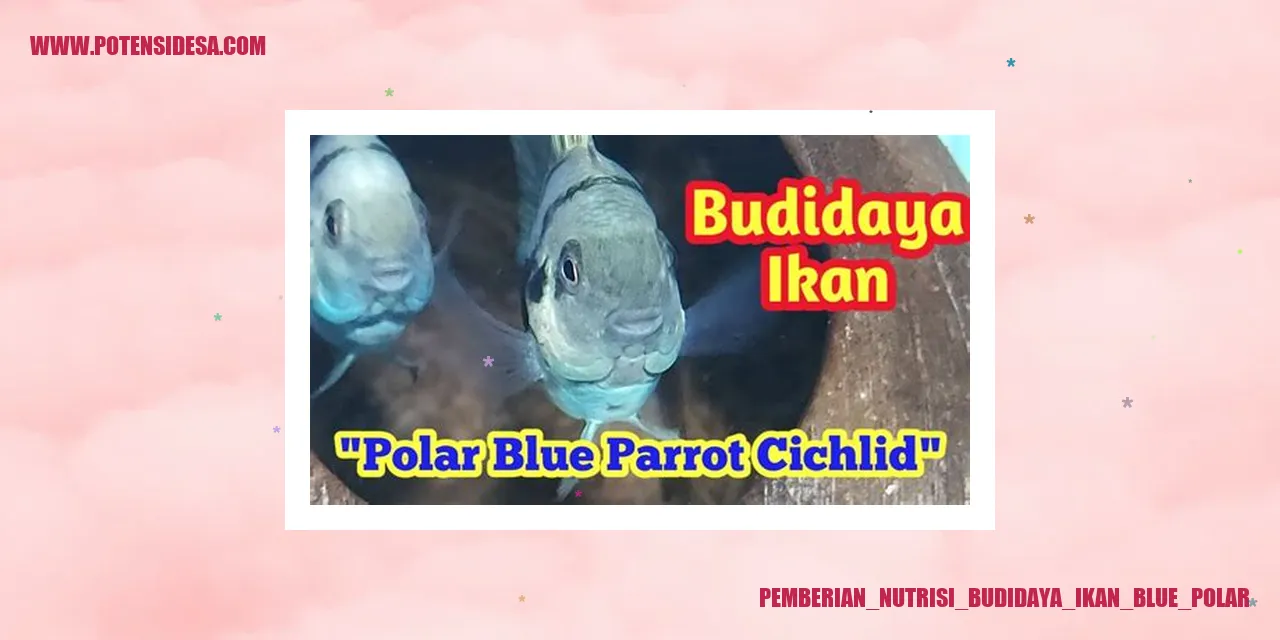 Ikan Blue Polar