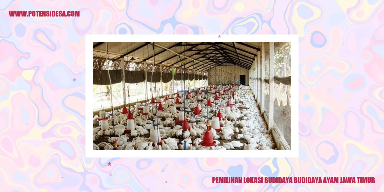 Pemilihan Lokasi Budidaya Ayam Jawa Timur