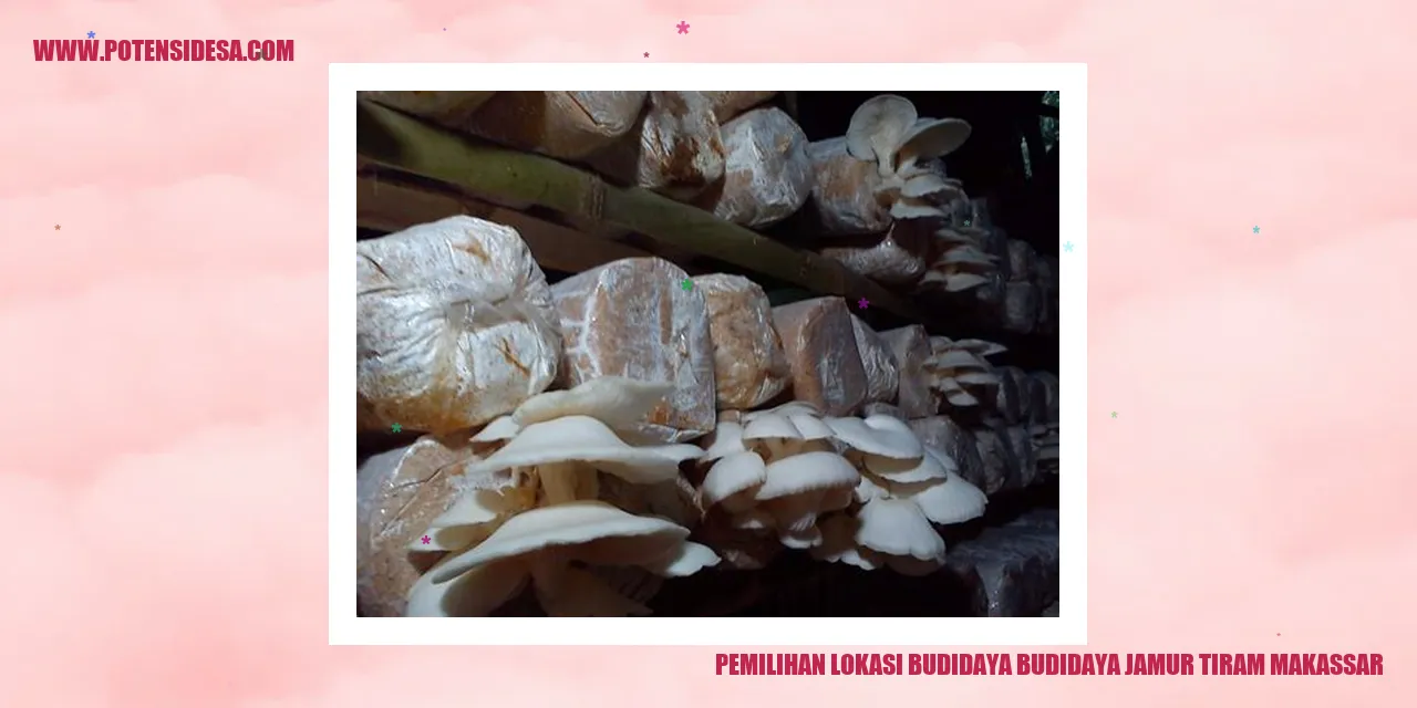 Pemilihan Lokasi Budidaya budidaya jamur tiram makassar