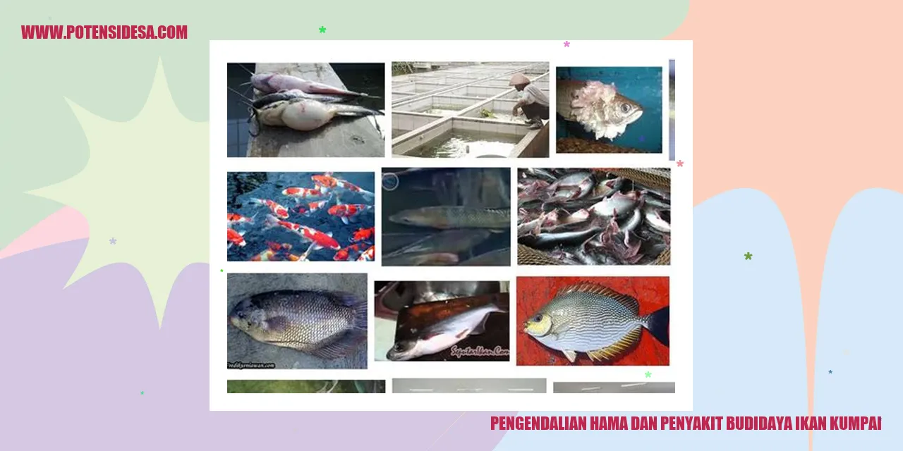 Pengendalian Serangan Hama dan Penyakit pada Ikan Kumpai