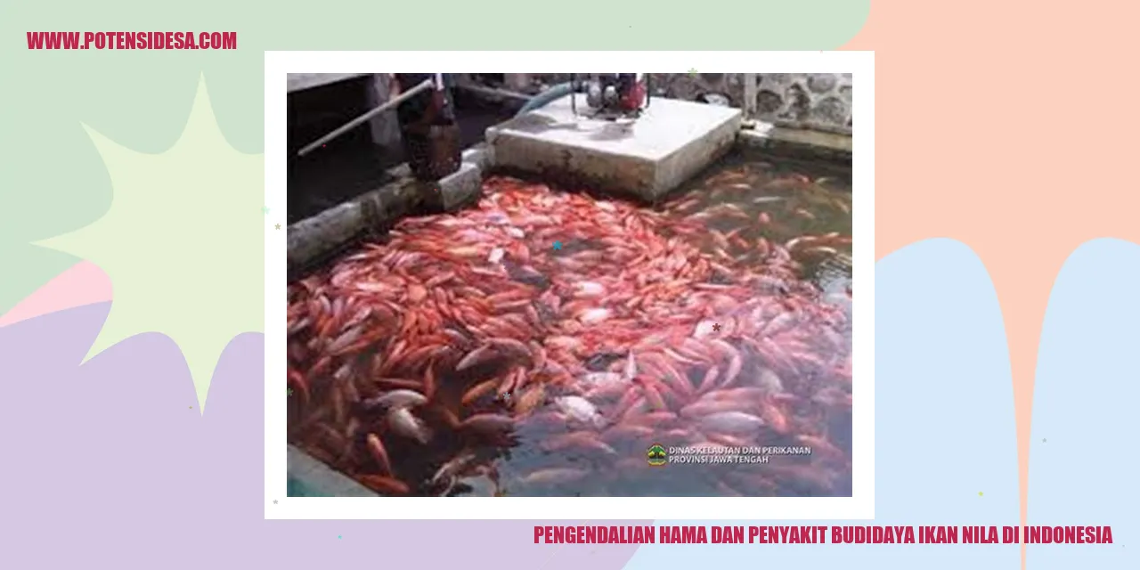 Pengendalian Hama dan Penyakit Budidaya Ikan Nila di Indonesia