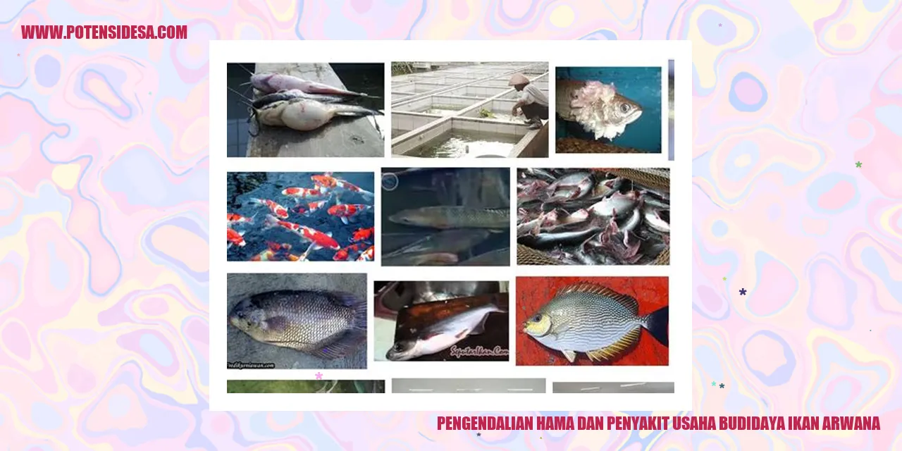 Pentingnya Pengendalian Hama dan Penyakit dalam Usaha Beternak Ikan Arwana