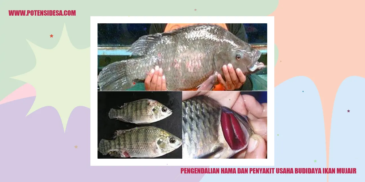 Hama dan Penyakit dalam Budidaya Ikan Mujair