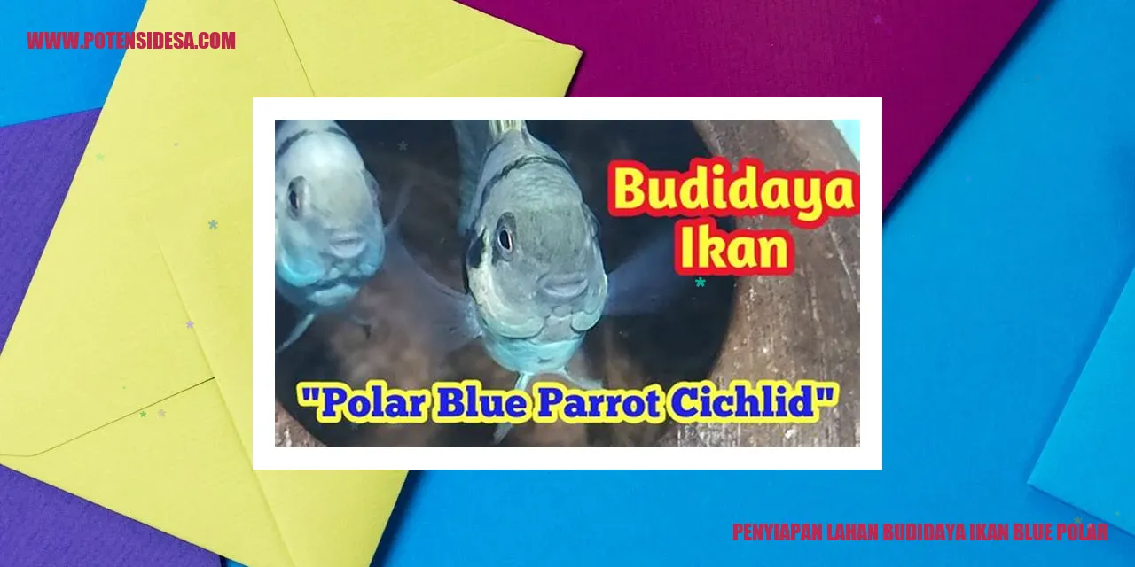 Gambar: Persiapan Lahan Budidaya Ikan Blue Polar
