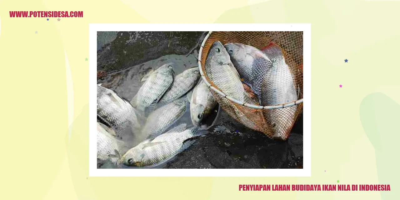 Penyiapan Lahan Budidaya Ikan Nila di Indonesia