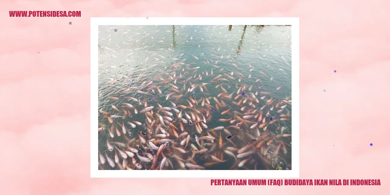 Pertanyaan Umum (FAQ) budidaya ikan nila di Indonesia