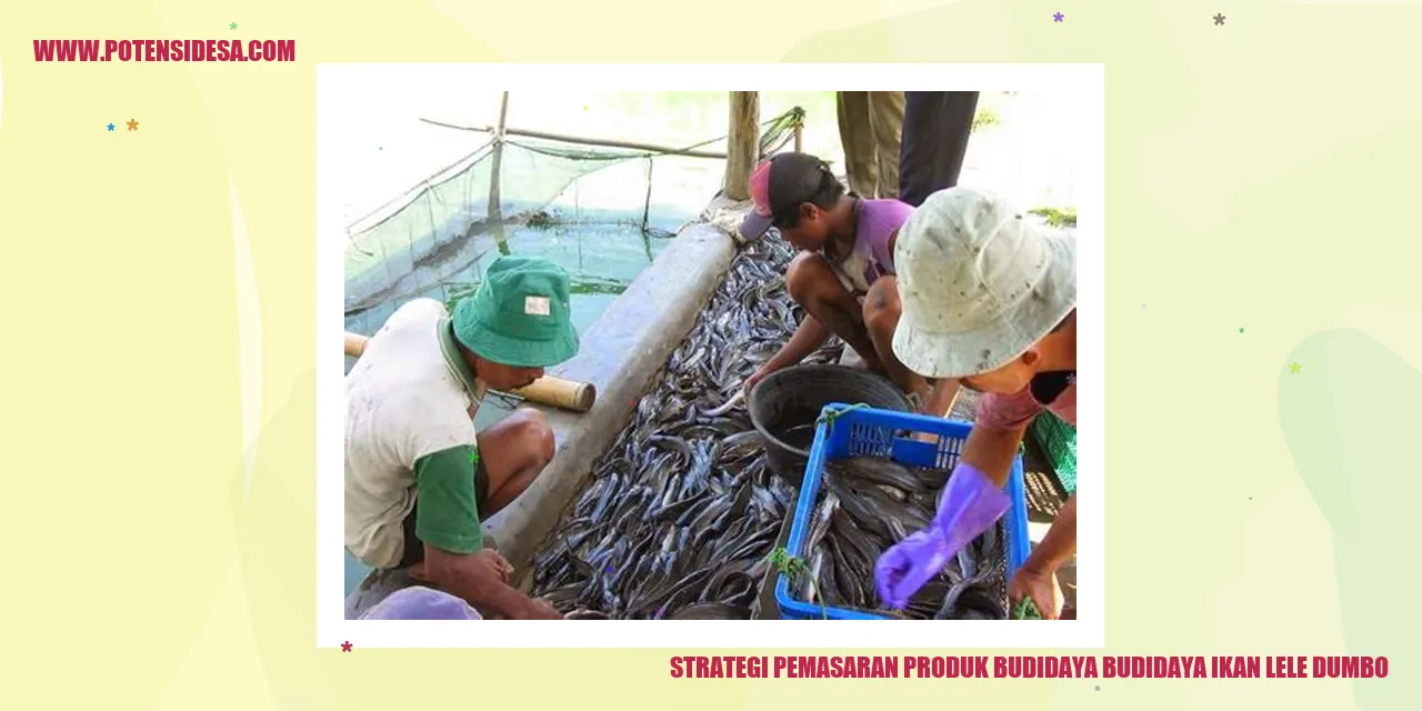 Strategi Pemasaran Produk Budidaya Ikan Lele Dumbo