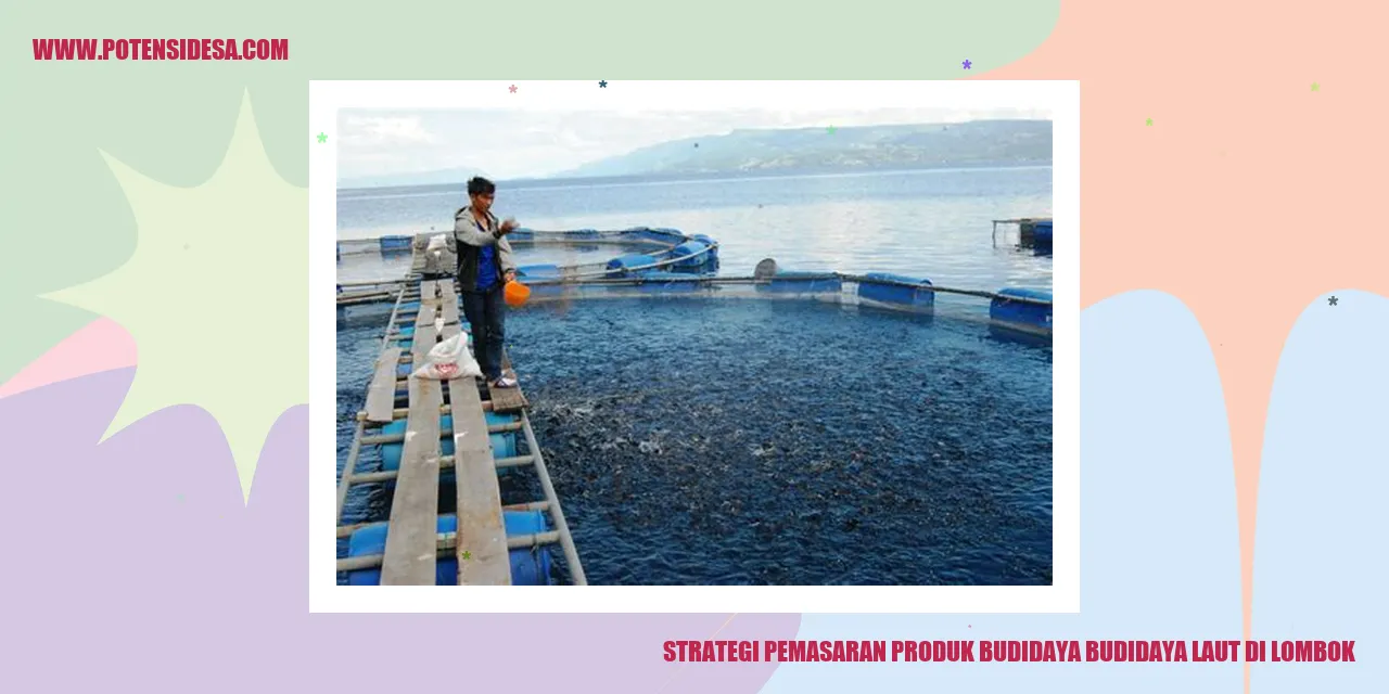Strategi Pemasaran Produk Budidaya Laut di Lombok